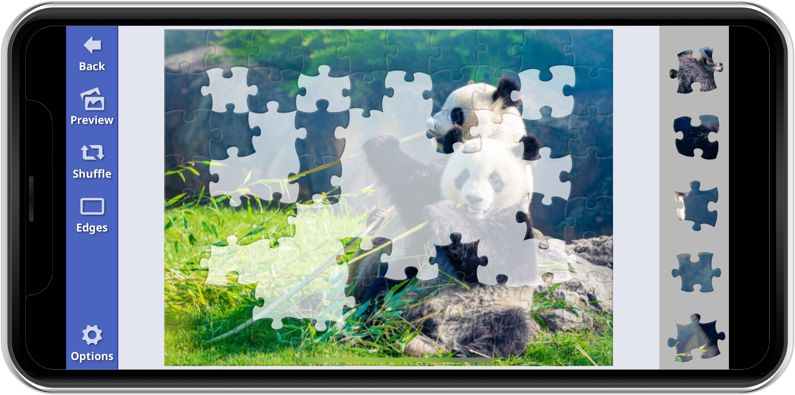 Jigsaw Bug screen 1